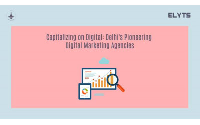 Delhi's Leading Digital Marketing Agencies|Elyts Branding