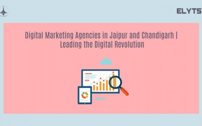 Digital Marketing Agencies in Jaipur and Chandigarh | Elyts