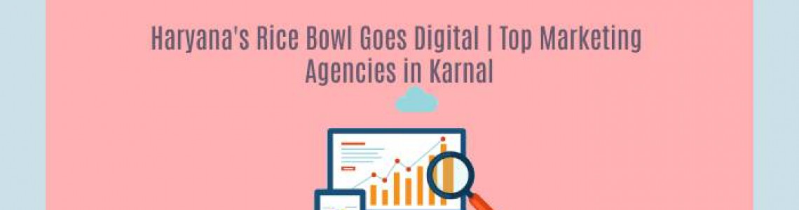 Haryana's Rice Bowl Goes Digital | Marketing Agencies in Karnal