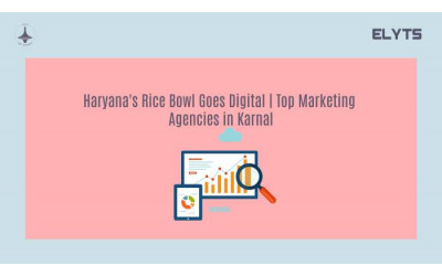 Haryana's Rice Bowl Goes Digital | Marketing Agencies in Karnal