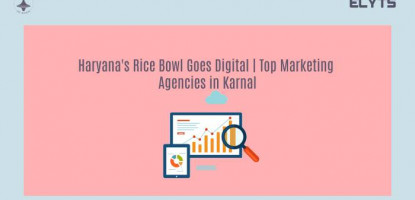 Haryana's Rice Bowl Goes Digital | Marketing Agencies in Karnal