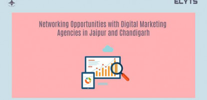 Digital Marketing Agencies | Jaipur | Chandigarh | Networking