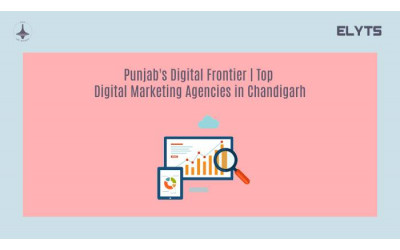 Digital Frontier | Digital Marketing Agencies in Chandigarh