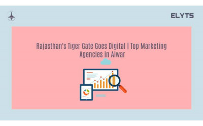 Rajasthan's Tiger Gate Goes Digital | Marketing Agencies Alwar