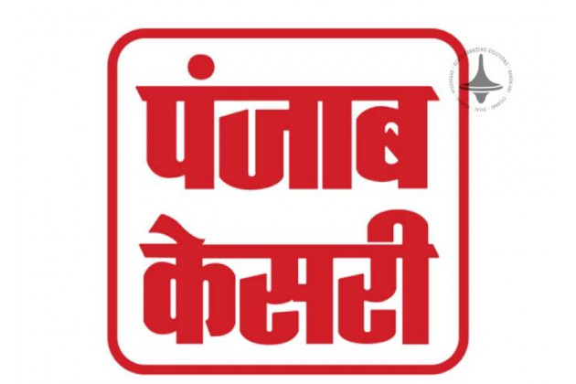 Punjab Kesari, Website