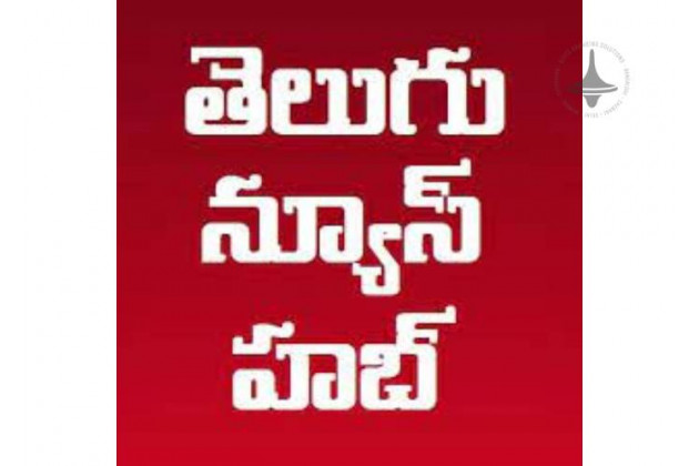 Telugu News Hub, Website