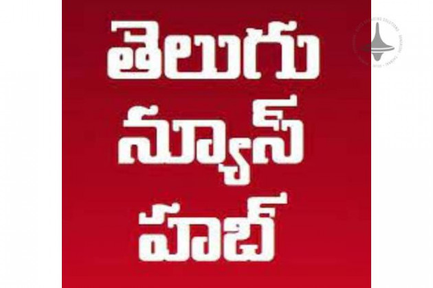 Telugu News Hub, Website