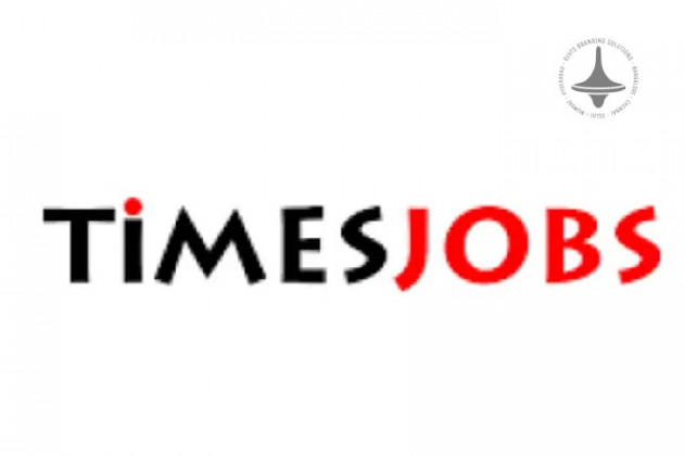 Times Jobs, Website