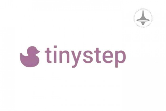 Tinystep, Website