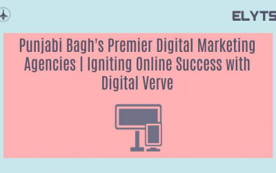Punjabi Bagh's Premier Digital Marketing Agencies | Igniting Online Success with Digital Verve