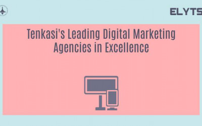 Tenkasi's Leading Digital Marketing Agencies in Excellence