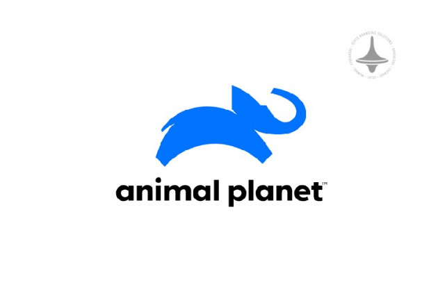 Animal Planet